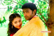 New Pic Vikam Prabhu Sri Divya In Vellakara Durai 519