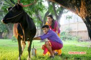 Tamil Movie Vellaikara Durai Latest Stills 569
