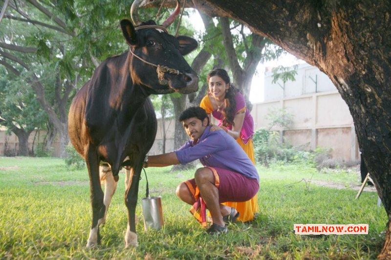 Vellaikara Durai Tamil Cinema Nov 2014 Stills 1268