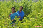 Movie Vethu Vettu 9644