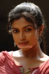 Amala Paul In Vettai Movie 810