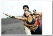 Vijay Anushka Photo 102