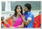 Vijay Anushka Photo 104