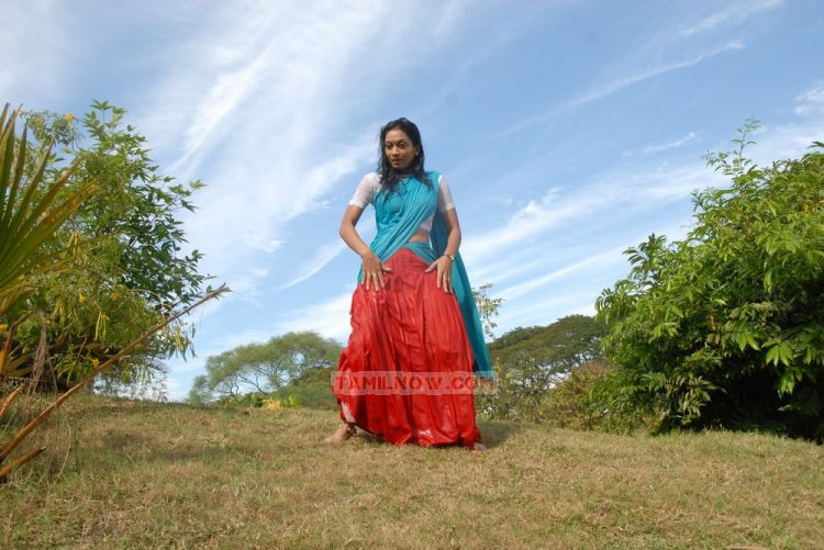 Vettaiyadu 9343
