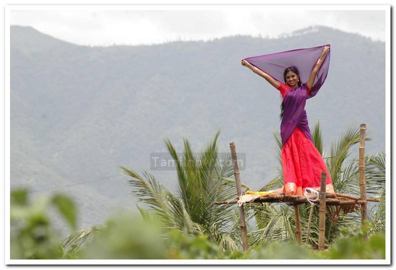 Amala Paul Still 6