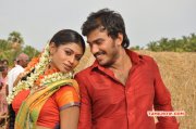 2014 Stills Virudhalam Pattu Movie 8796