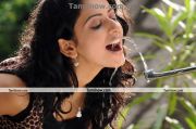 Actress Rakul Preet In Yuvan Movie 1
