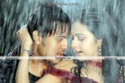 Siddharth Rajkumar And Rakul Preet In Yuvan3