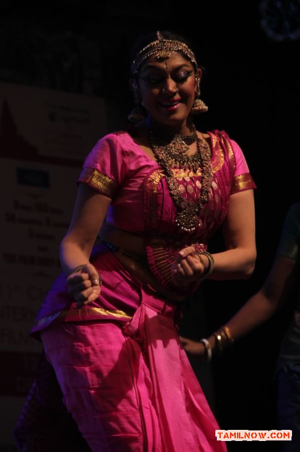 11th Chennai International Film Festival 1094