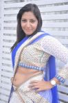 4 Movie Audio Launch Photos 8066