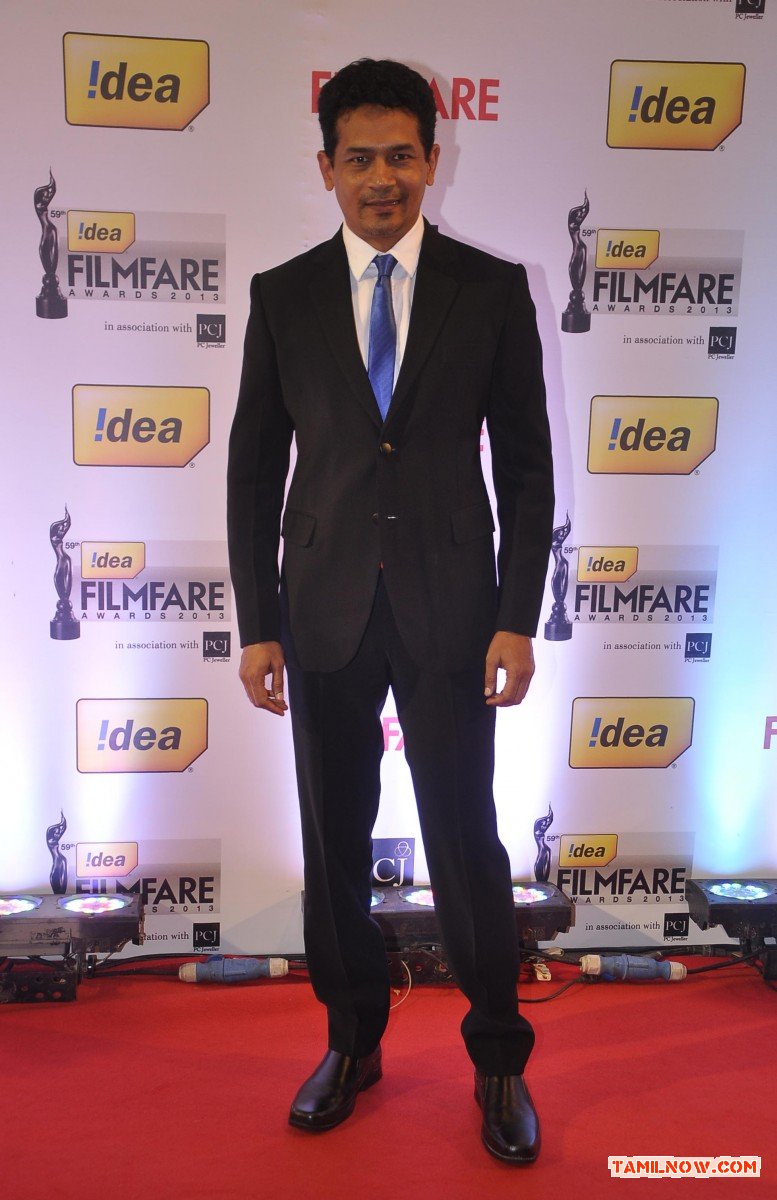 59th Idea Filmfare Awards 2013 3005