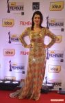 59th Idea Filmfare Awards 2013 4249