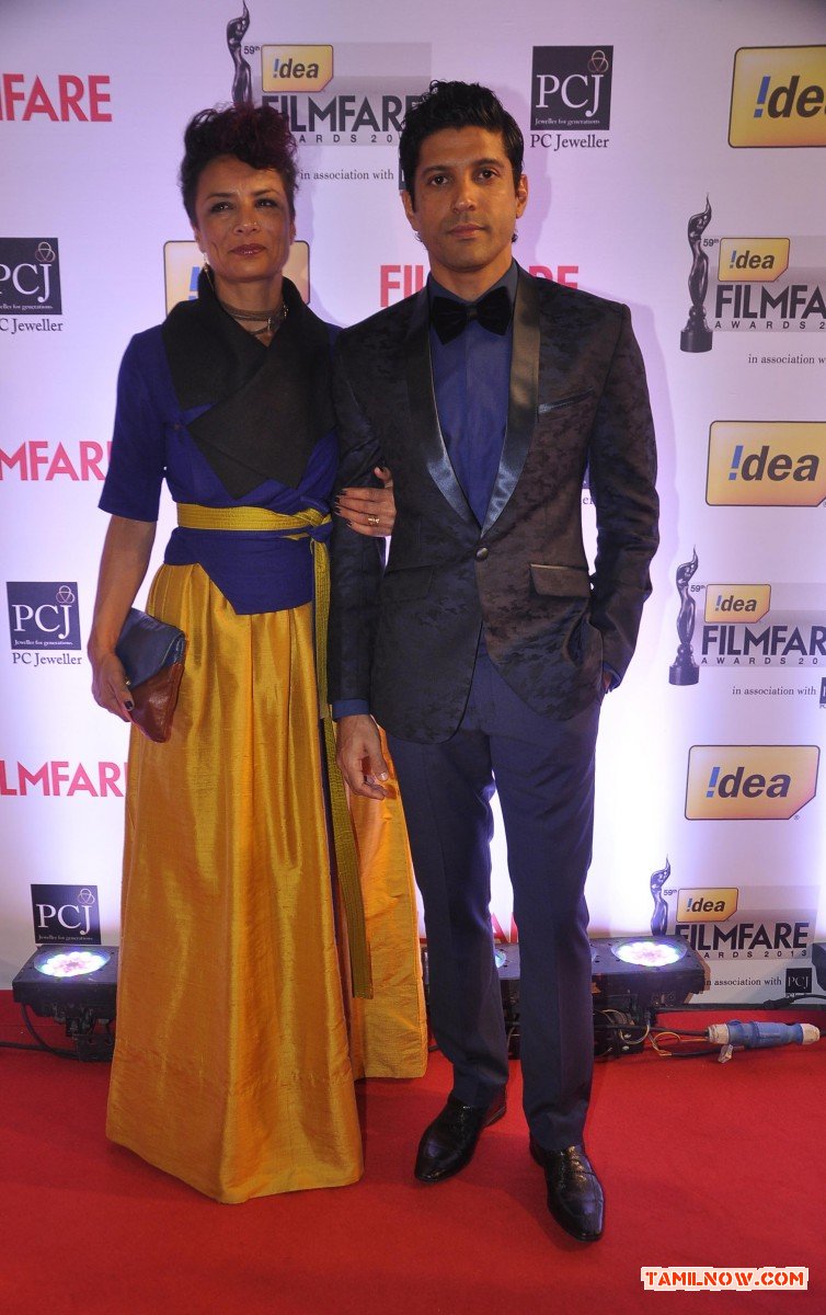 59th Idea Filmfare Awards 2013 4556