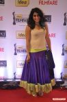 59th Idea Filmfare Awards 2013 5332