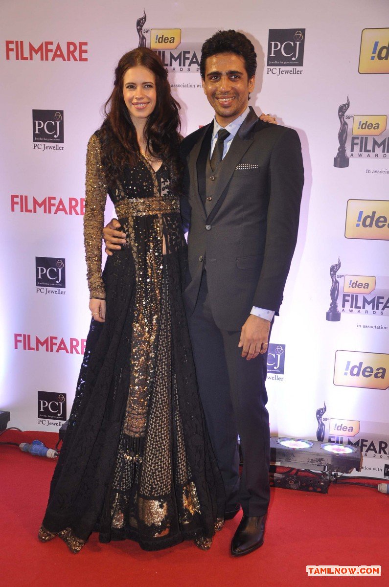 59th Idea Filmfare Awards 2013 7416