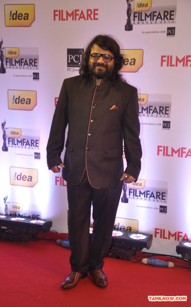 59th Idea Filmfare Awards 2013 789