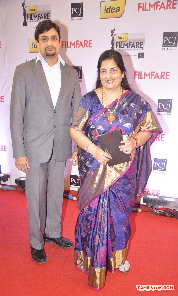 59th Idea Filmfare Awards 2013 8919