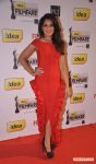 59th Idea Filmfare Awards 2013 9176