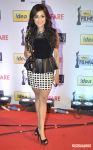 59th Idea Filmfare Awards 2013 9660