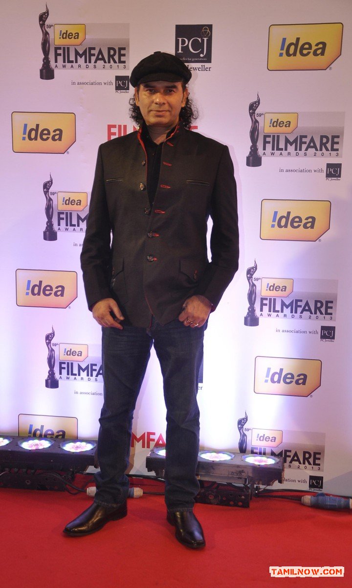 59th Idea Filmfare Awards 2013 Photos 227