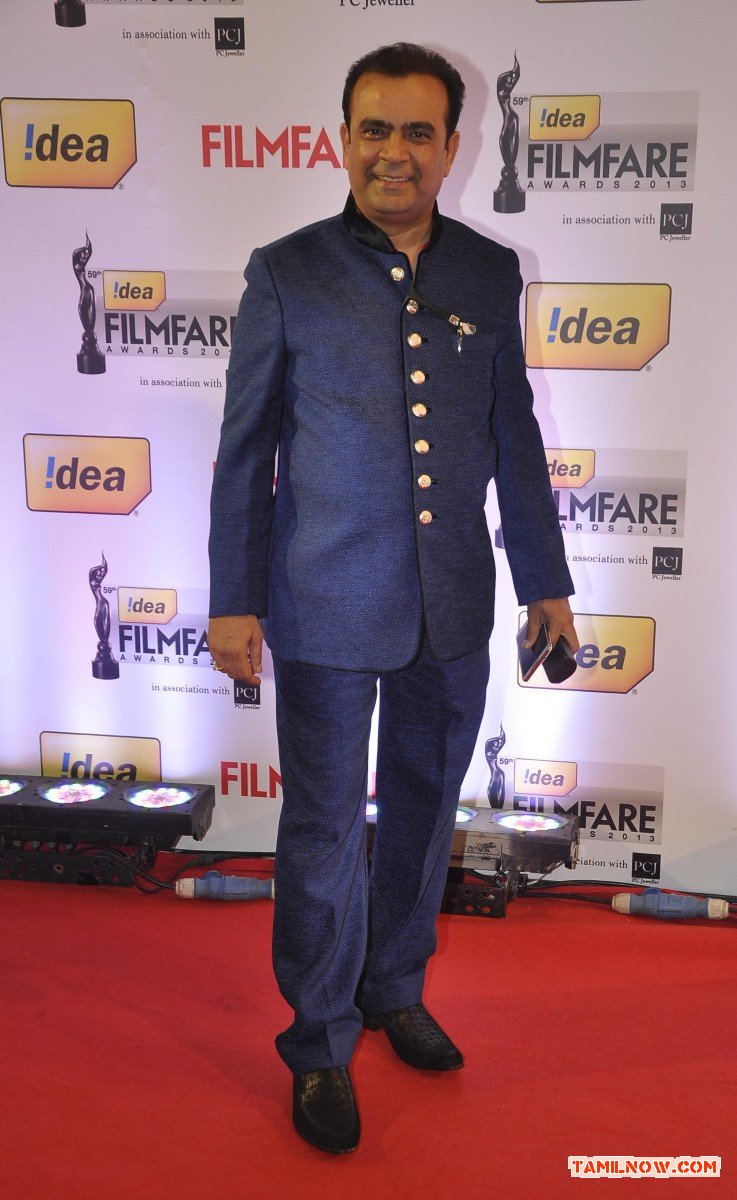 59th Idea Filmfare Awards 2013 Stills 4721