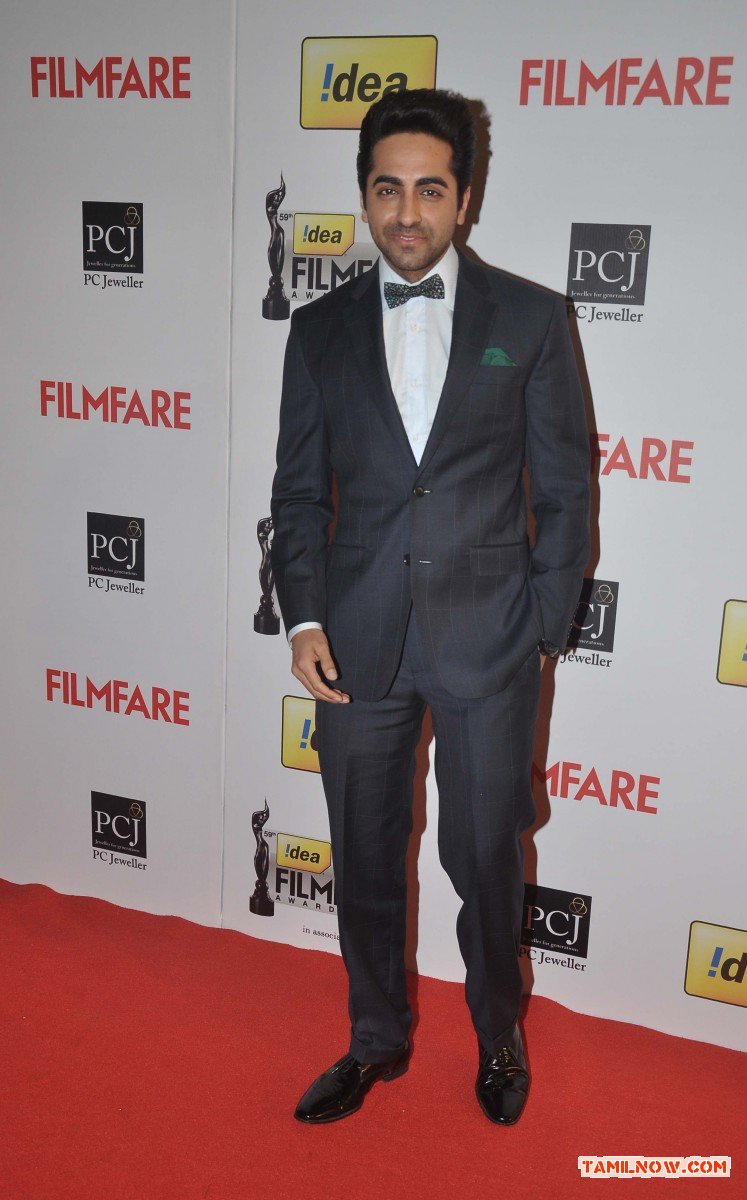 59th Idea Filmfare Awards 2013 Stills 5105