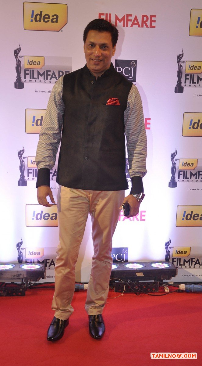 59th Idea Filmfare Awards 2013 Stills 5421