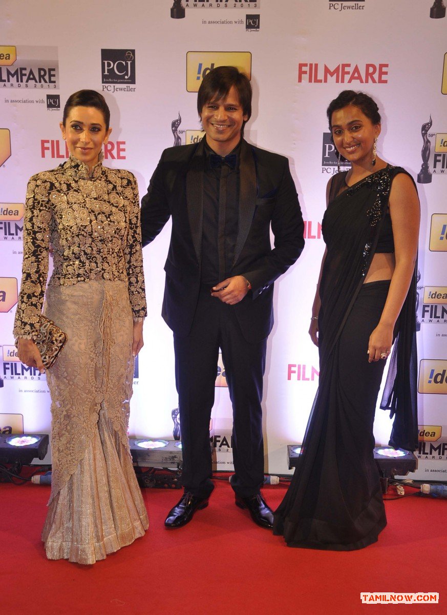 59th Idea Filmfare Awards 2013 Stills 5880