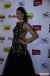 Celebs At 61st Idea Filmfare South Awards 2013 13 179