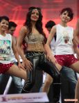 Parul Yadav Perfomance At 61st Idea Filmfare South Awards 2013 711