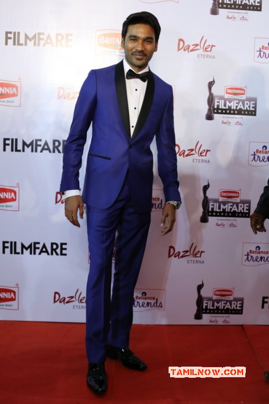 Function 62 Filmfare Awards South 2015 Jun 2015 Gallery 7988