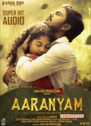 Picture Event Aaranyam Audio Launch 7376