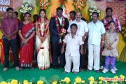 Actor Kottai Perumal Son Wedding Reception 6983