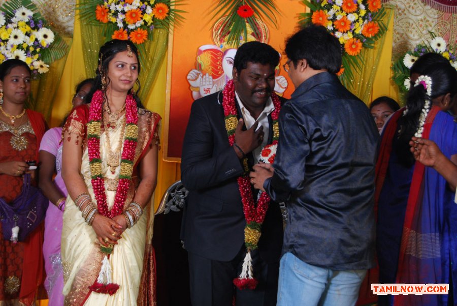 Actor Kottai Perumal Son Wedding Reception 8449