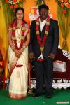 Actor Kottai Perumal Son Wedding Reception Photos 7506
