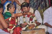 Actor Shiva Wedding Photos 6648
