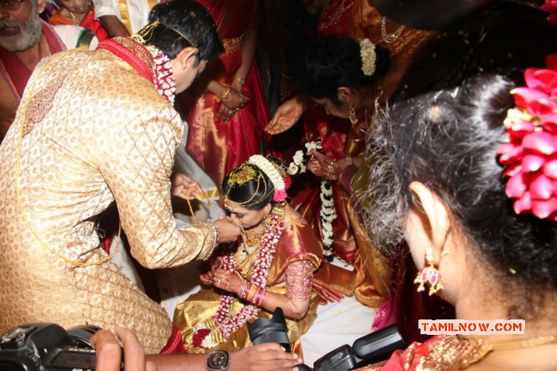 Recent Galleries Tamil Movie Event Actor Vishal Sister Aishwarya Wedding 8322