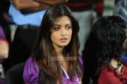 Actress At Ccl 2 Part 2 Photos 2384