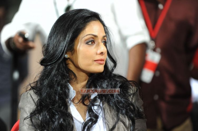 Bollywood Actress Sridevi At Ccl 2 986