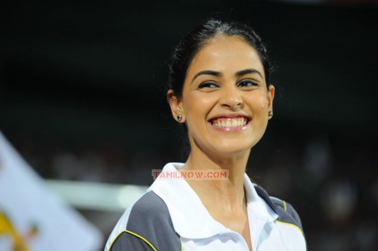 Genelia Dsouza At Ccl 2 100