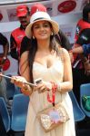 Parul Yadav At Ccl 2 Photo 219