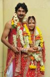 Actress Chaya Singh Married Krishna Stills 4592
