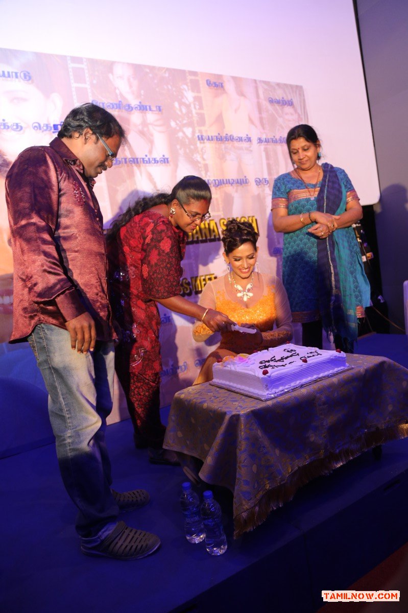 Actress Sanjana Singh Press Meet 2118
