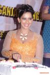 Actress Sanjana Singh Press Meet 8516