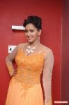 Actress Sanjana Singh Press Meet 9310