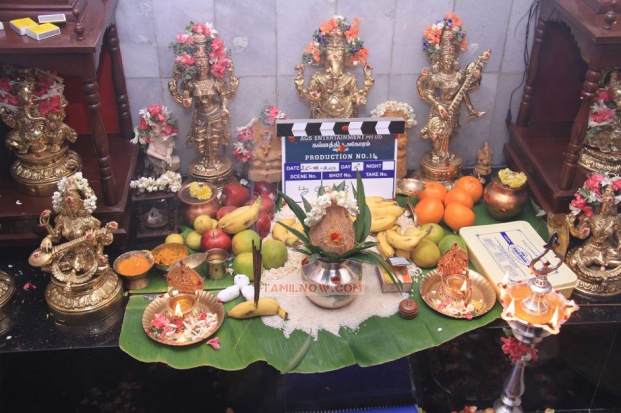 Ags Entertainment Production No14 Pooja Stills 5195