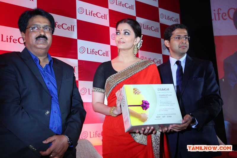 Aishwarya Bachchan At Lifecell Public Stem Cell Banking Launch 4738