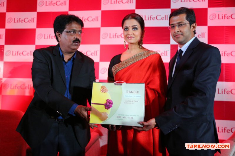 Aishwarya Bachchan At Lifecell Public Stem Cell Banking Launch Stills 2257