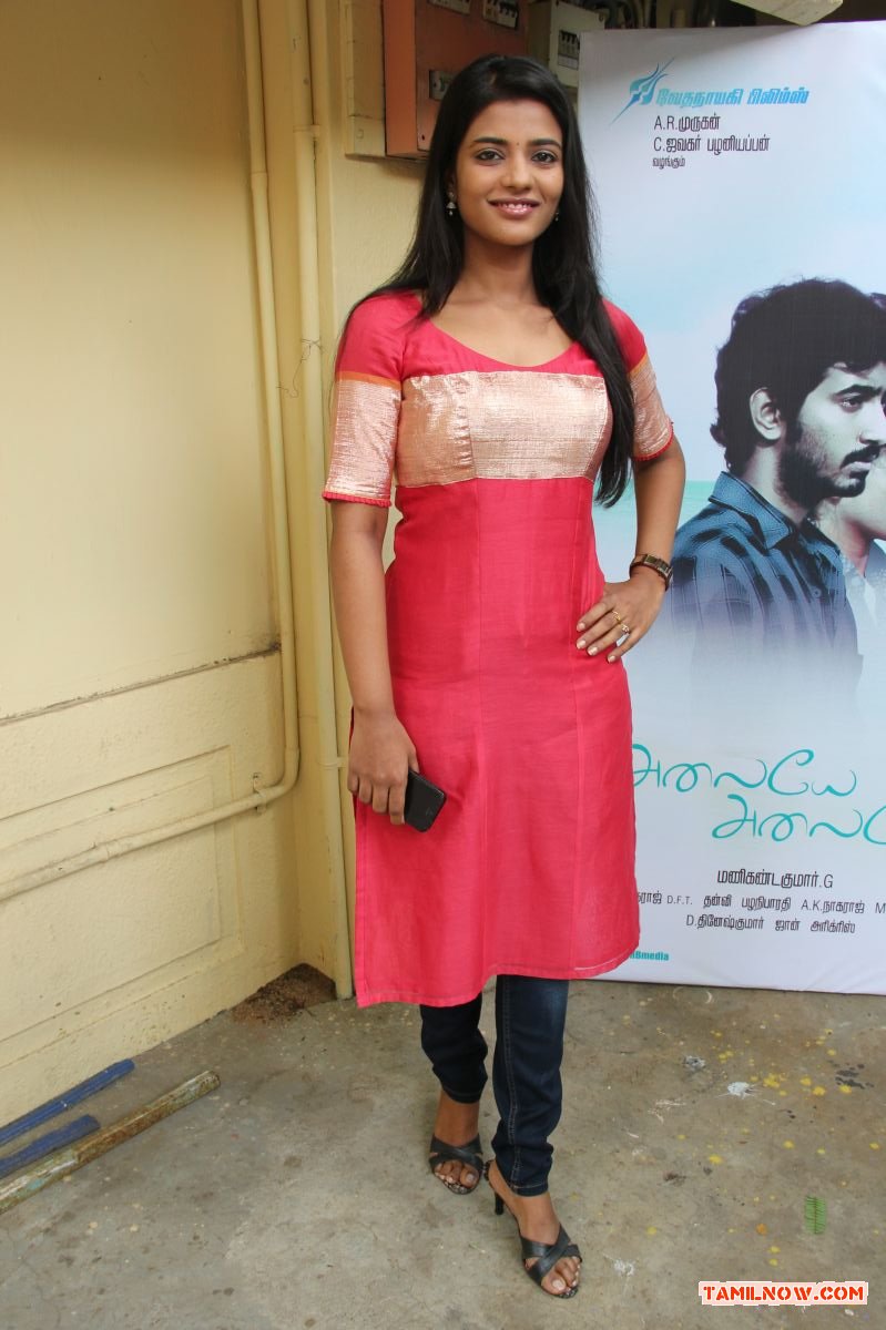 Alaiye Alaiye Movie Audio Launch 107