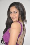 Actress Komal Sharma 388